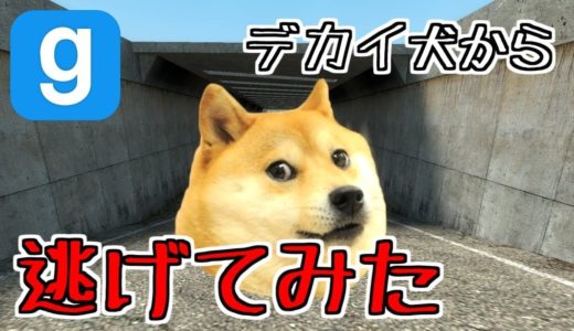 竹田ビルディング株式会社　→　犬から逃げるオンラインゲーム