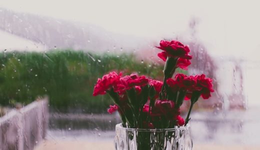 Chillout Rain Sounds for quiet rainy days ⛈ |  雨が降ってリラックス