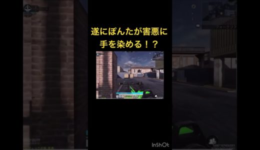 次回！ぽんた害悪豚になる！の巻 #codモバイル #ゲーム実況 #codmobile #warzone #配信切り抜き