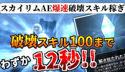 【SkyrimAE】破壊スキルを一瞬で100まで上げる方法【全機種で可能】