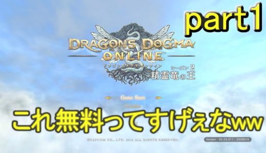 最近のオンラインゲームはめちゃくちゃ綺麗だね(ﾟДﾟ;)wドラゴンズドグマオンライン実況プレイpart１！