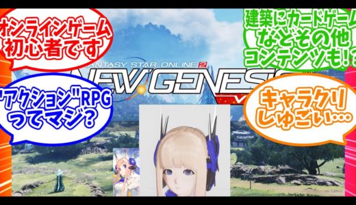 オンラインゲームガチ初心者のNGS【4ship】冒険日誌2ページ目