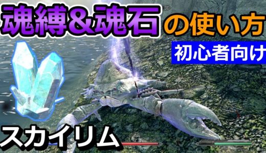 【スカイリム初心者講座】魂石・魂縛の使い方を詳しく解説