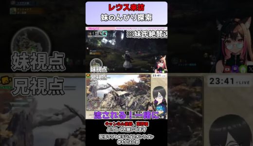 レウス来訪＆妹絶賛迷子中 #mhwib  #virtualstreamer #デバイスオンライン #ゲーム実況