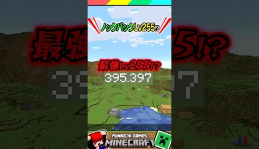 ノックバック最強レベル255？ #マイクラ #マインクラフト #Minecraft #まいくら #クイズ #ゲーム #Shorts