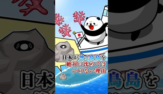日本が沖ノ鳥島を絶対に沈めてはいけない理由【アニメ】#テイペン #plottアニメ