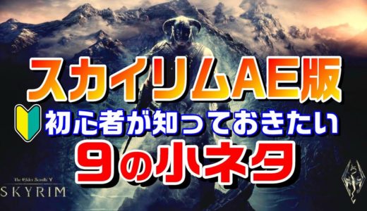 スカイリムAE 初心者にオススメ！【ゲーム序盤】の小ネタ９選！