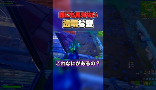なんだこれ🧐#フォートナイト#Fortnite#shorts#YouTube#youtubeshorts #shortsfeed