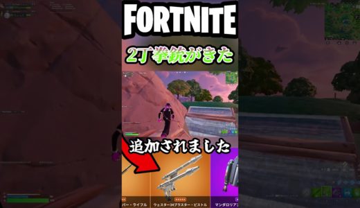 みんなの評価は?【フォートナイト/fortnite】#shorts #フォートナイト #fortnite #ランク #ゲーム実況 #スターウォーズ #アップデート #shortsfeed