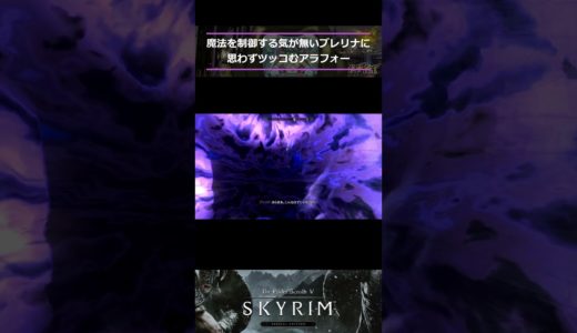 【Skyrim】魔法を制御する気が無いブレリナに思わずツッコむアラフォー　#skyrim #スカイリム＃short