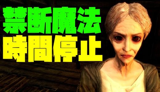 【Skyrim VR】禁断の魔法。時を止める力を手に市民を実験体にする極悪ドヴァーキン