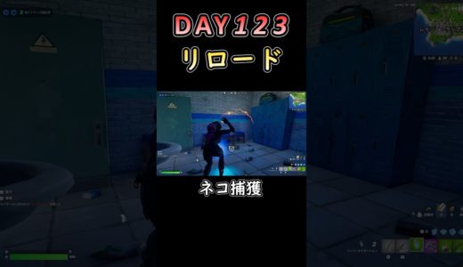 見事な捕獲 #フォートナイト #fortnite #123日目 #初心者 #リロード #ソロ