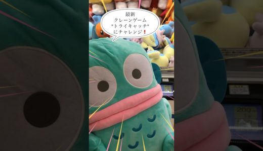 キツネちゃん🦊のクレーンゲーム❗️最新クレーンゲーム機