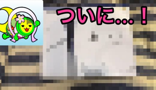 ゆうどん、ついにあの最新ゲーム機を買う。