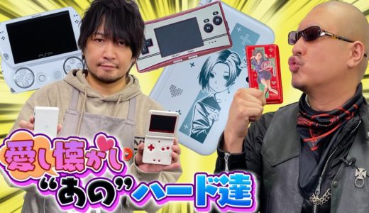 【ニンテンドーDS】あれから10年……かつてのペットやカノジョと再会！【PSP】