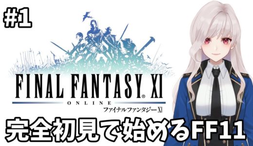 【#FF11】#1 数々の廃人を生んだ伝説のオンラインゲームがあるらしい