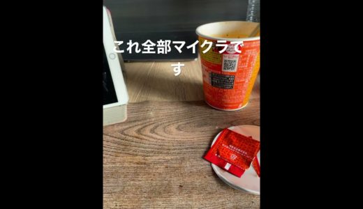 マイクラでアート作ってみました。　［マインクラフト　マイクラ　作業厨　ピクセルアート　閃光のハサウェイ　神業］#閃光のハサウェイ