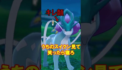 準伝級ドジ犬 #ポケモン #禁止伝説