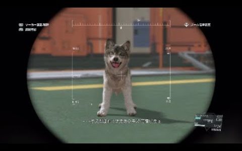 [MGS5]小さいDDがひたすらかわいいだけの動画