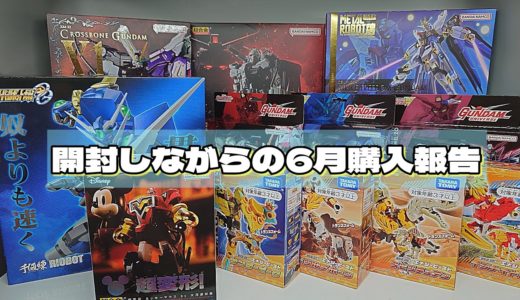 開封しながら6月購入報告♪(超合金、トランスフォーマー、千値練、メタルビルド、メタルロボット魂など/ Chogokin, TRANSFORMERS, METAL BUILD, Sentinel )