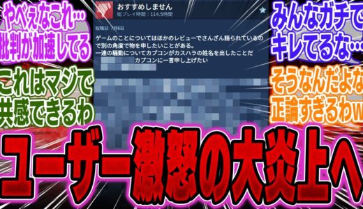 【超絶悲報】カスハラ声明後のワイルズレビューがとんでもない事になっていると話題に…【モンハンWs】【モンハン】【武器】【装飾品】【装備】【bgm】【ラギア】【クラッシュ】【最強】【アプデ】
