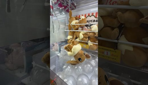 【ベネクス浦和店】最新プライズ確率検証！！いくらで取れるの？