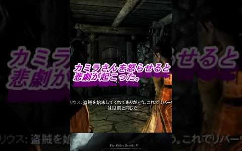 カミラさんを怒らせると悲劇が起こった。スカイリム攻略＃Shorts