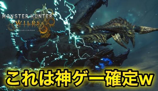 【最新ゲーム】2025年No.1の期待作！モンスターハンターワイルズについて、世界一分かりやすく紹介してみた！【PS5/Xbox/PC(Steam)】