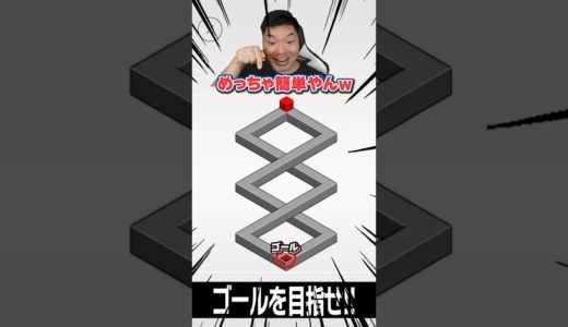 カンタン迷路かと思いきや…😭😭😭 #パズル #錯視 #Shorts